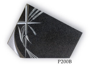 P200B