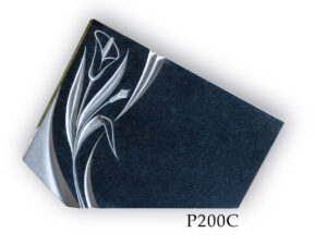 P200C