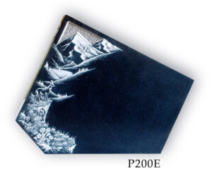 P200E